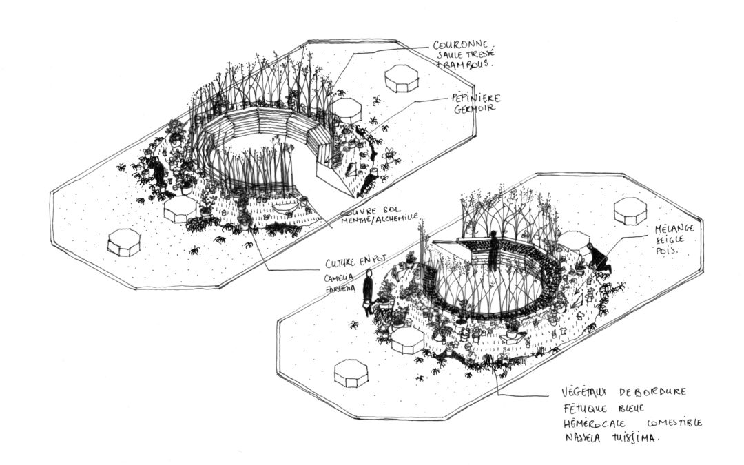 Terre commune