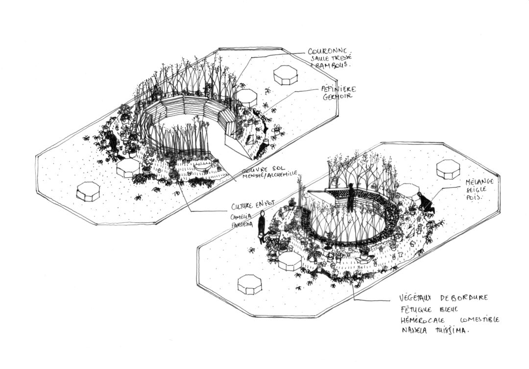 Terre commune